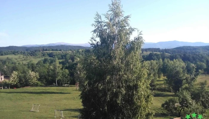 Monumentul Eroilor Mlaci Catalog - Bughea De Jos