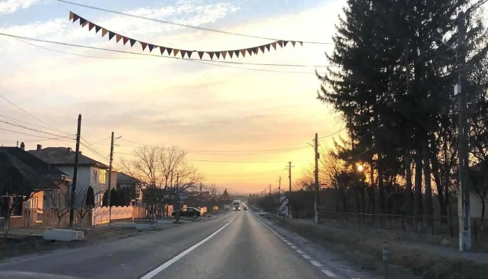 Motca Prețuri - Moțca