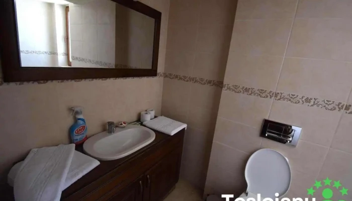 Motelul Hanul Conachi -  De La Proprietar - Liești