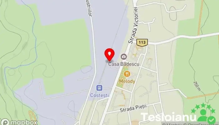 Muntenia - Costeşti S.r.l. - Costești