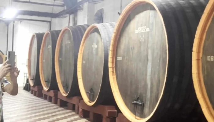 Murfatlar Vinul Romania -  Locație - Murfatlar