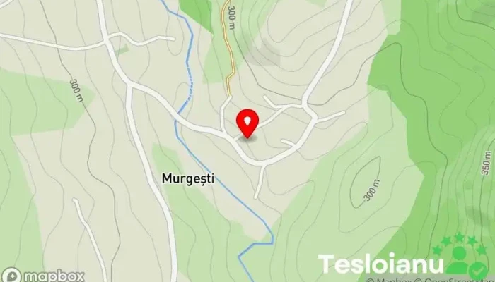 hartă a Murgești  în Murgești