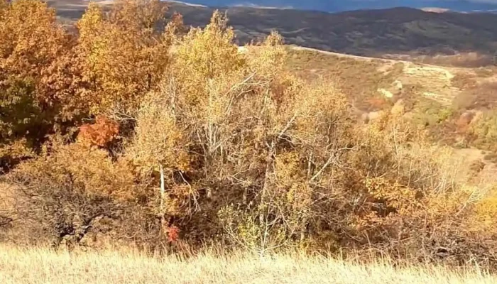 Murgesti Munte - Murgești