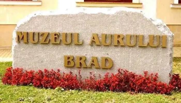 Muzeul Aurului Brad -  De La Proprietar - Brad