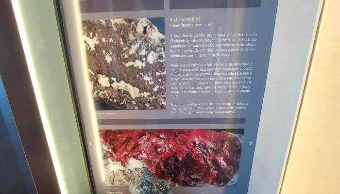 Muzeul Aurului Brad -  Zonă - Brad