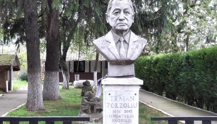 Muzeul Câmpiei Boianului Traian Zorzoliu - Drăgănești-Olt