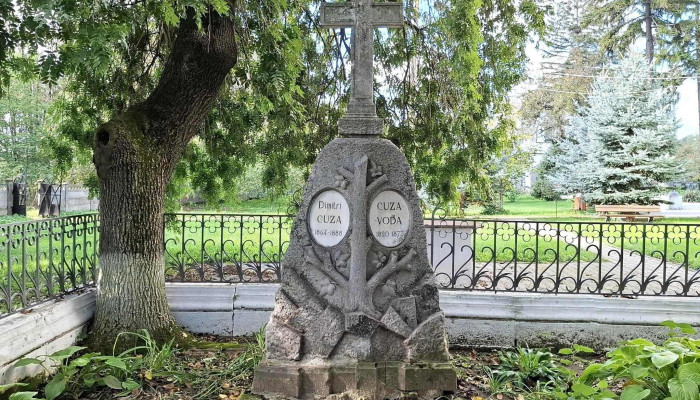 Muzeul Memorial Alexandru Ioan Cuza Catalog - Ruginoasa