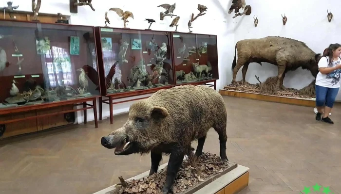 Muzeul National Secuiesc Sculptura - Sfântu Gheorghe