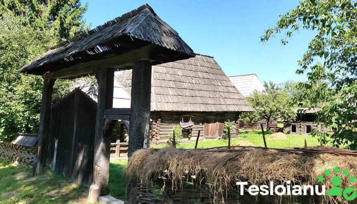 Muzeul Satului Maramuresean Videoclipuri - Sighetu Marmației