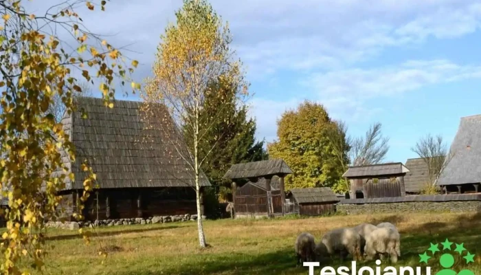 Muzeul Satului Maramureșean - Sighetu Marmației