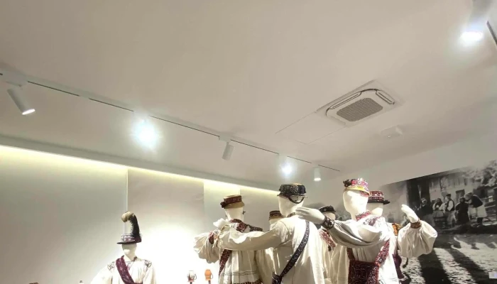 Muzeul Tarii Oasului Adresă - Negrești-oaș