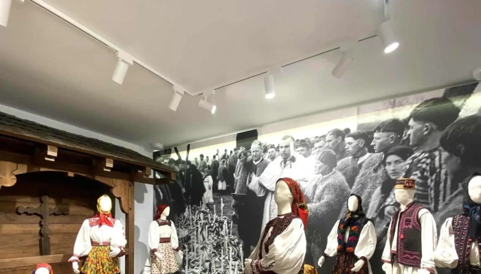 Muzeul Tarii Oasului Fotografii - Negrești-oaș
