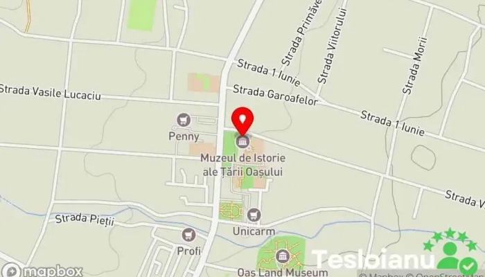 hartă a Muzeul Țării Oașului Muzeu, Atracție turistică în Negrești-Oaș