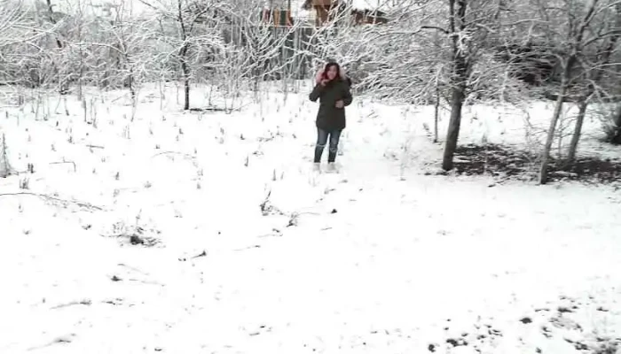 Măceșu de Sus - Măceșu De Sus