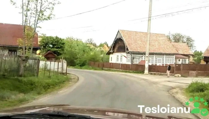 Mănășturu Românesc - Mănășturu Românesc