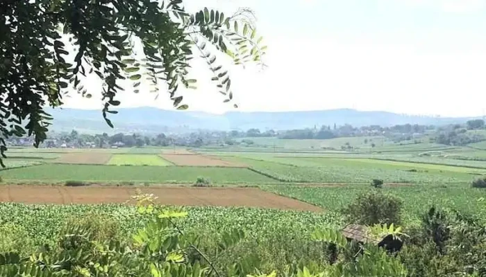 Mărăşeşti - Mărăşeşti