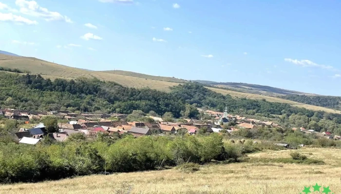 Naidas Munte - Naidăș