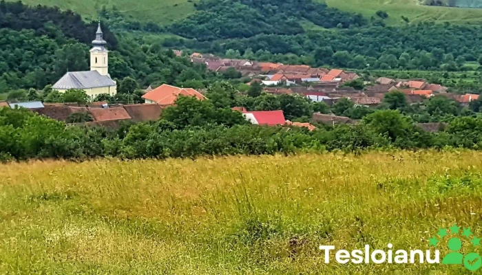 Naidas Unde - Naidăș