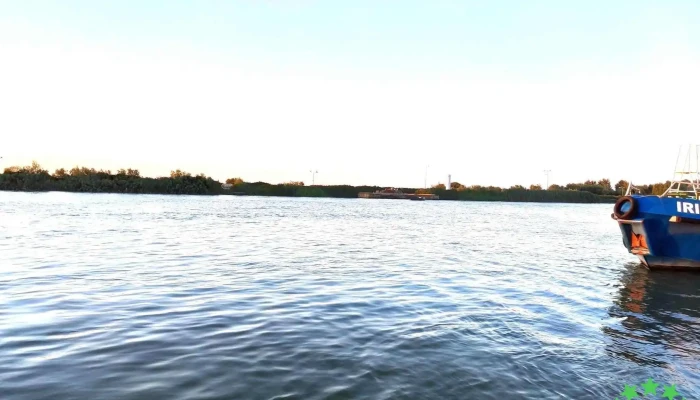 Navrom Delta - Wharf - România