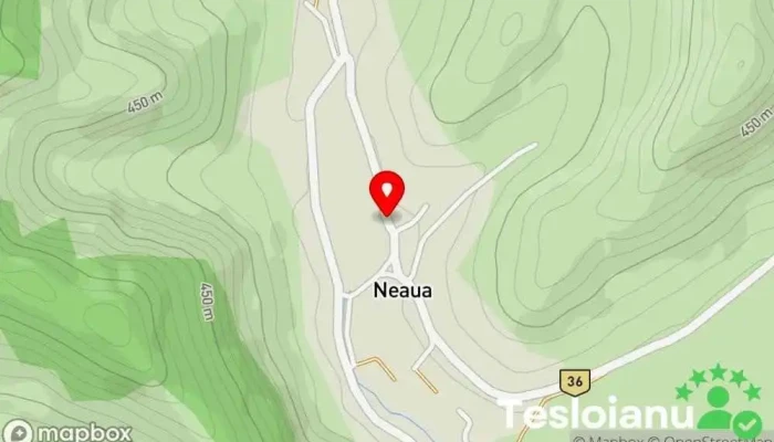 hartă a Neaua  în Neaua