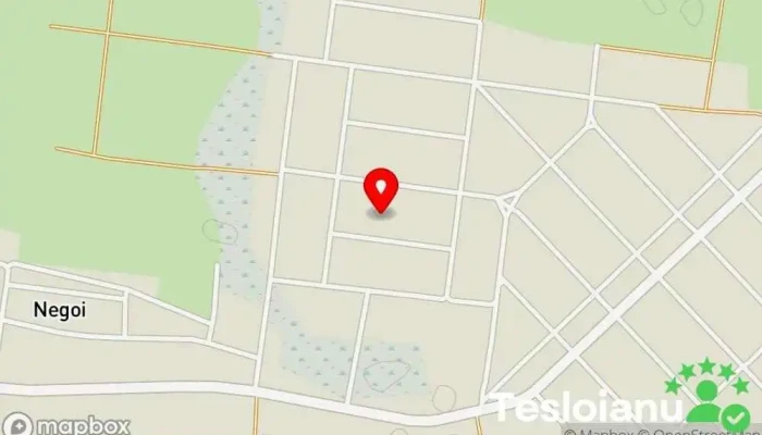 hartă a Negoi  în Negoi