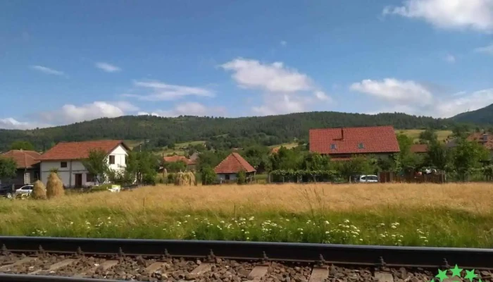 Negreni - Negreni