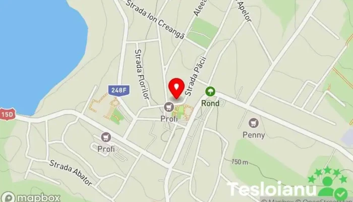 hartă a Negrești  în Negrești