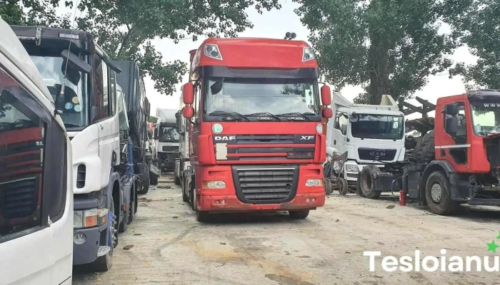 Nel Cos Trans Srl - România