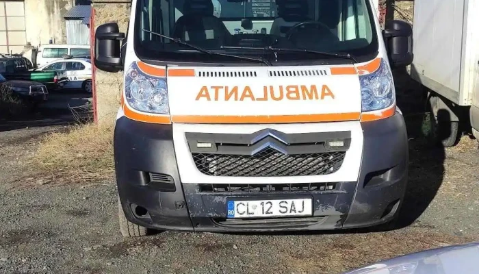 Nelu -Service auto - România