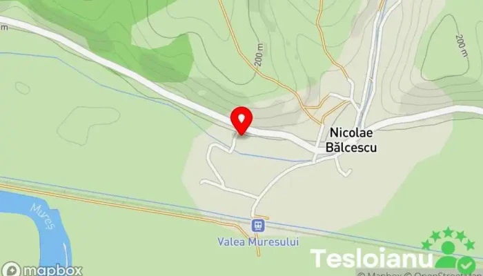 hartă a Nicolae Bălcescu  în Nicolae Bălcescu