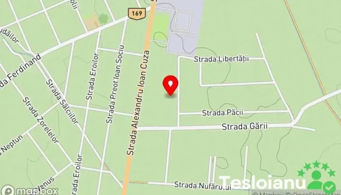 hartă a Nicolae Bălcescu  în Nicolae Bălcescu