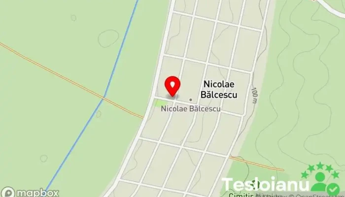 Nicolae Bălcescu - Nicolae Bălcescu