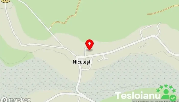 Niculești - Niculești