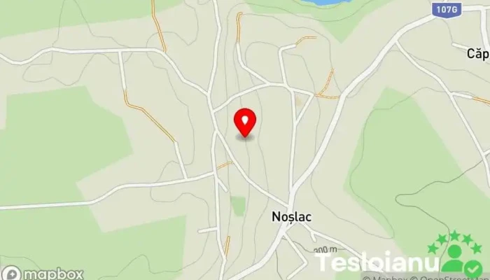 hartă a Noșlac  în Noșlac