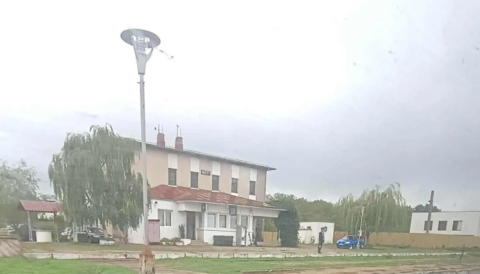 Nucet -  Număr - Dj722