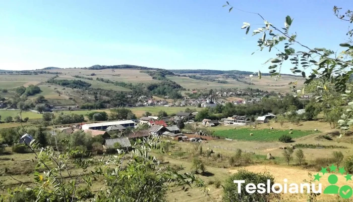 Nuşeni - Nuşeni