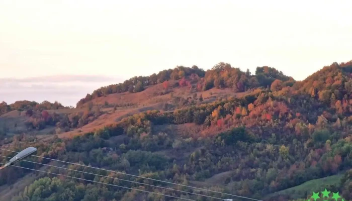 Năruja - Năruja