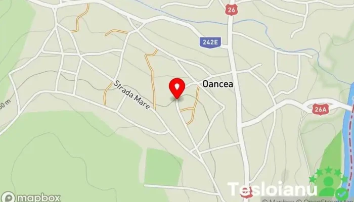 hartă a Oancea  în Oancea