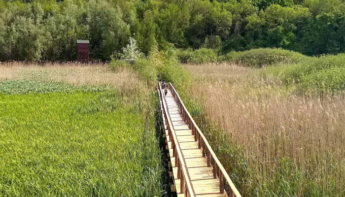 Observator Ornitologic Comana -  Fotografii - Rezervație Comana