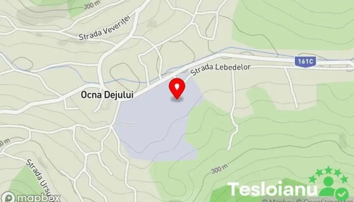 hartă a Ocna Dej Watering hole în Ocna Dejului