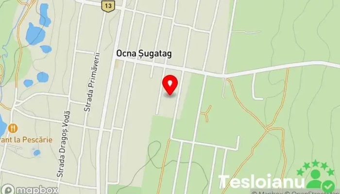 hartă a Ocna Șugatag  în Ocna Șugatag