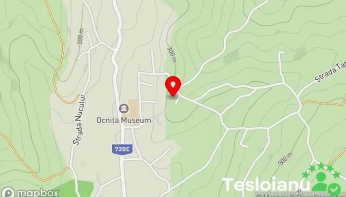 hartă a Ocnița  în Ocnița