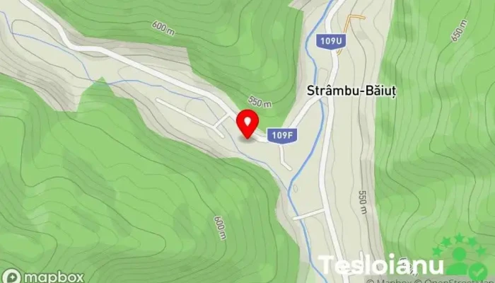 hartă a Ocolul Silvic Strâmbu Băiuț Pădure națională în Strâmbu-Băiuț