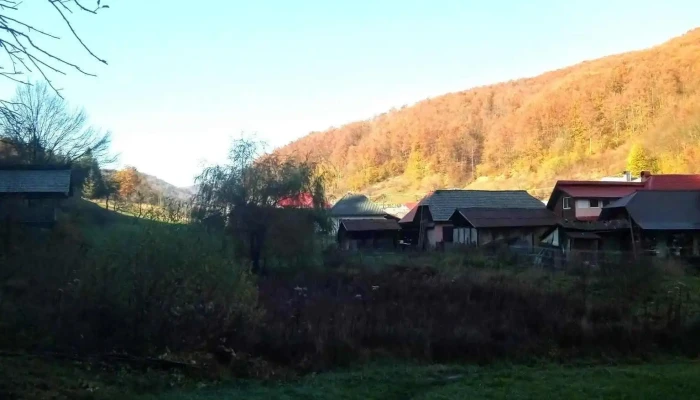 Ocolul Silvic Strambu Baiut Munte - Strâmbu-băiuț