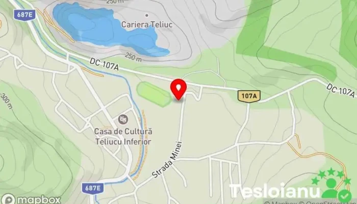 hartă a Ocolul Silvic Ținutul Pădurenilor Serviciu forestier în Teliucu Inferior