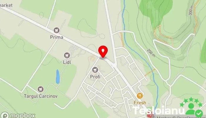 hartă a OCPI BCPI Topoloveni Birou al administrației locale în Topoloveni