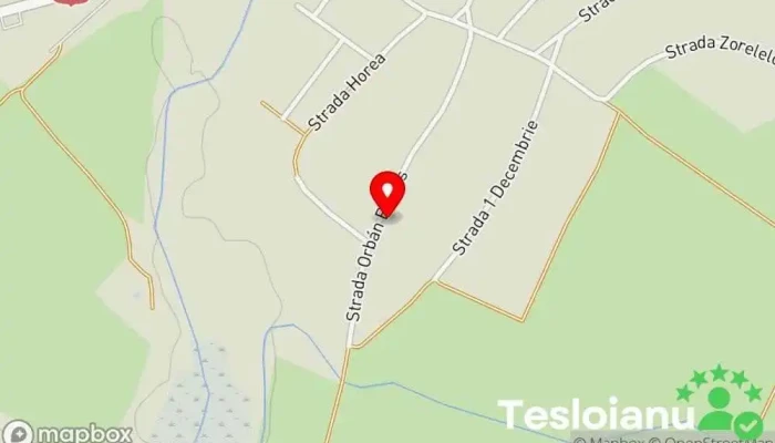 Oláh család szerviz - Valea Lui Mihai 415700