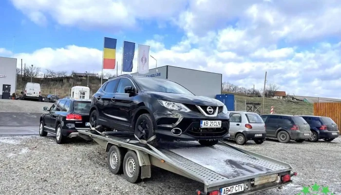 Operativ Service - Daia Română