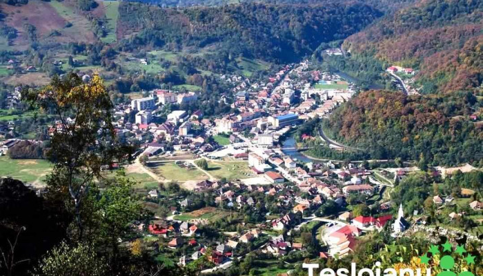 Oras Baia De Aries Recenzii - Romania