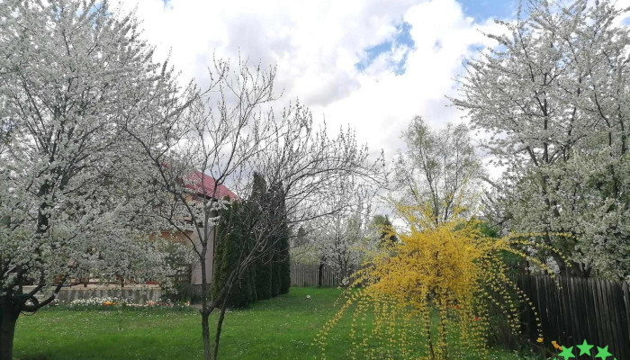 Oras Breaza Deschis Acum - Romania